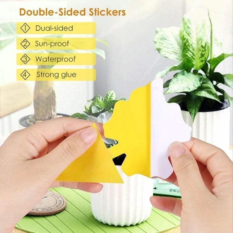 Sticky Trap, Fruit Fly Fungus Gnat【3 Day Delivery&Cash on delivery-HOT SALE-45%OFF🔥】