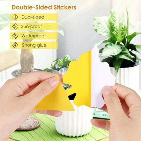 Sticky Trap, Fruit Fly Fungus Gnat【3 Day Delivery&Cash on delivery-HOT SALE-45%OFF🔥】